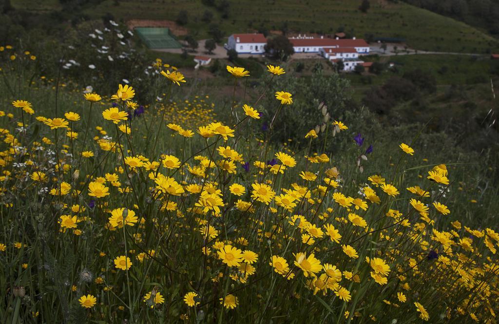 Quinta Do Chocalhinho Agroturismo & Spa Odemira Exterior photo