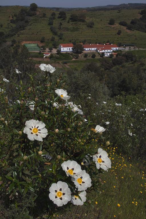 Quinta Do Chocalhinho Agroturismo & Spa Odemira Exterior photo
